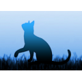 Alimentazione Gatto