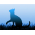 SECCO GATTO