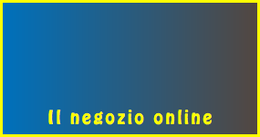  Il negozio online